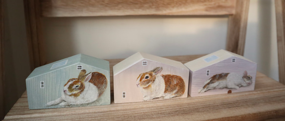 手繪小房子｜家有兔兔｜綠房子薄荷綠屋頂｜藍天照映窗戶 第6張的照片