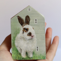 手繪小房子｜家有兔兔｜淡綠房子咖啡色屋頂｜藍天照映窗戶 第5張的照片