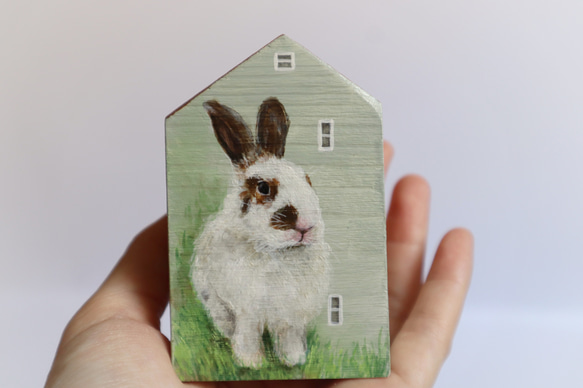 手繪小房子｜家有兔兔｜淡綠房子咖啡色屋頂｜藍天照映窗戶 第5張的照片