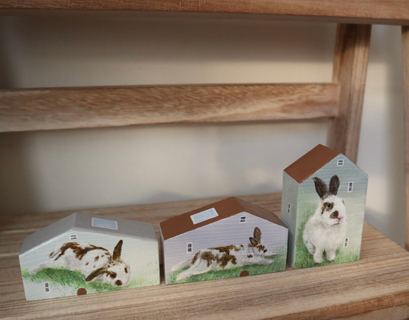 手繪小房子｜家有兔兔｜淡綠房子咖啡色屋頂｜藍天照映窗戶 第6張的照片