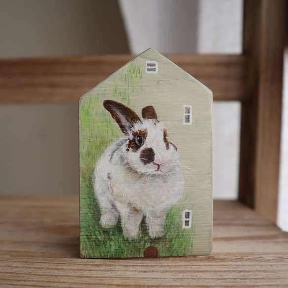 手繪小房子｜家有兔兔｜淡綠房子灰粉綠色屋頂｜藍天照映窗戶 第1張的照片