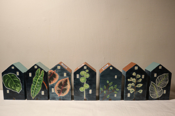手繪小房子｜斑葉橡膠樹｜星空照映窗戶｜觀葉植物 第7張的照片
