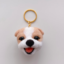羊毛氈 客製化寵物鑰匙圈/別針/識別證夾 第2張的照片