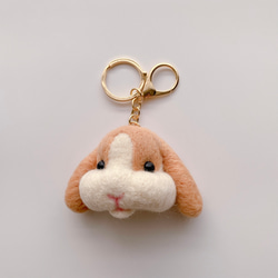 羊毛氈 愛吃兔與紅蘿蔔 鑰匙圈/耳環 第3張的照片
