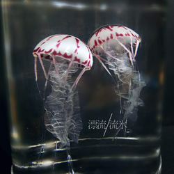 Fake Jellyfish パープルストライプドジェリー 5枚目の画像