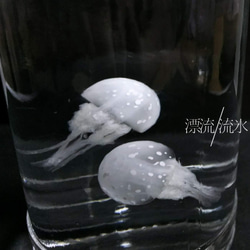 Fake Jellyfish タコクラゲ 4枚目の画像