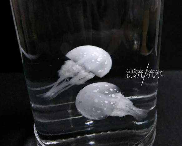 Fake Jellyfish タコクラゲ 4枚目の画像
