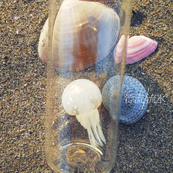 Fake Jellyfish タコクラゲ 7枚目の画像