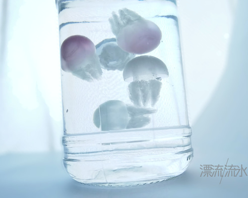 H0138SPK]HERE by DETAIL Jellyfish Twisted Leg 