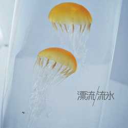 Fake Jellyfish パシフィックシーネットル 3枚目の画像