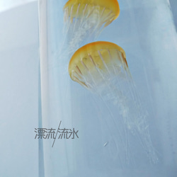 Fake Jellyfish パシフィックシーネットル 4枚目の画像