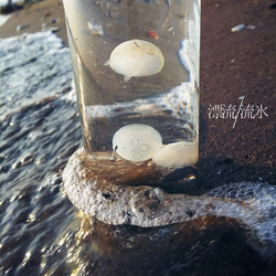 Fake Jellyfish ミズクラゲ 1枚目の画像