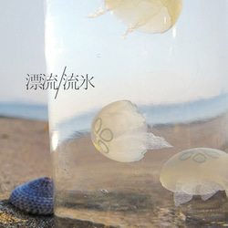 Fake Jellyfish ミズクラゲ 2枚目の画像