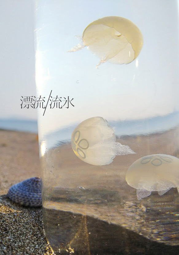 Fake Jellyfish ミズクラゲ 2枚目の画像