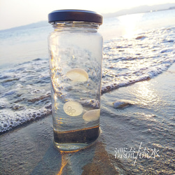 Fake Jellyfish ミズクラゲ 3枚目の画像