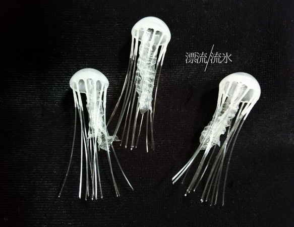 Fake Jellyfish アマクサクラゲ【ミニ】 2枚目の画像