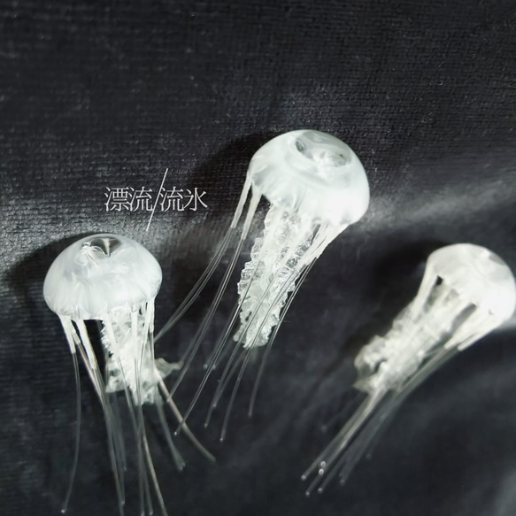 Fake Jellyfish アマクサクラゲ【ミニ】 3枚目の画像