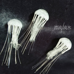 Fake Jellyfish アマクサクラゲ【ミニ】 4枚目の画像