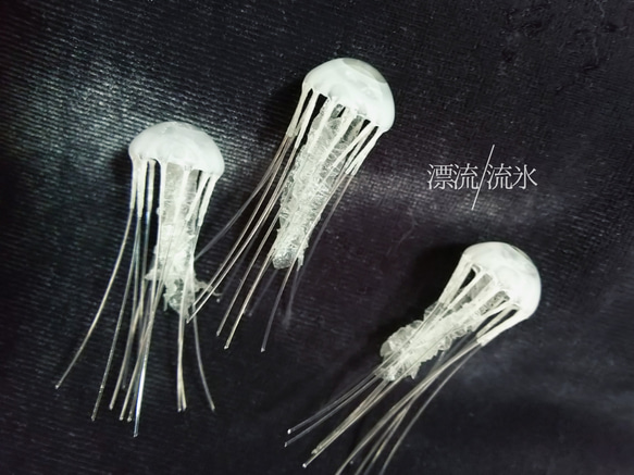 Fake Jellyfish アマクサクラゲ【ミニ】 4枚目の画像