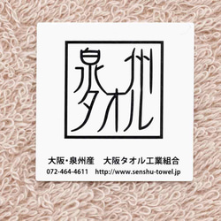 国産刺繍タオルハンカチ・かめ/ベージュ 3枚目の画像
