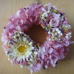 ピンク×ボルドー紫陽花＆イエローガーベラのミニリース 6枚目の画像