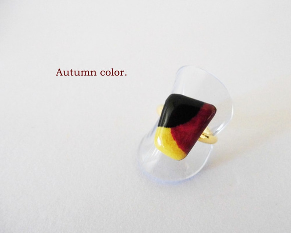 Autumn color　ring　(11号フリー) 1枚目の画像