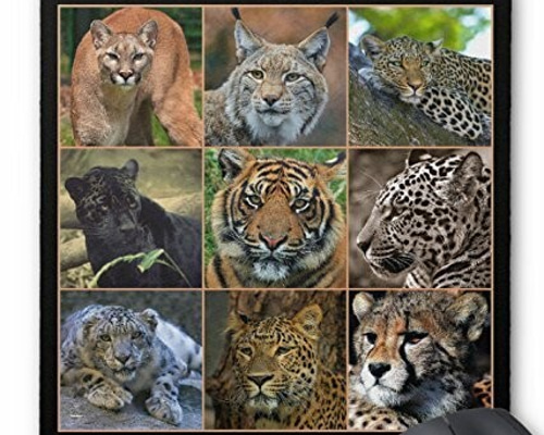 大型猫科動物たちのマウスパッド：フォトパッド（ 世界の野生