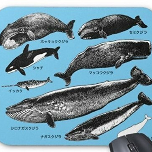 ジョンヒョン 写真集 写真、マウスパッド DotAndZ