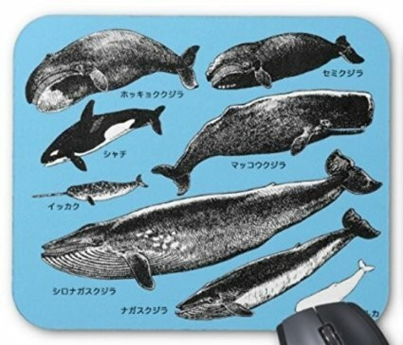 クジラの仲間のマウスパッド：フォトパッド（ 世界の野生動物シリーズ ） (薄青地) 1枚目の画像