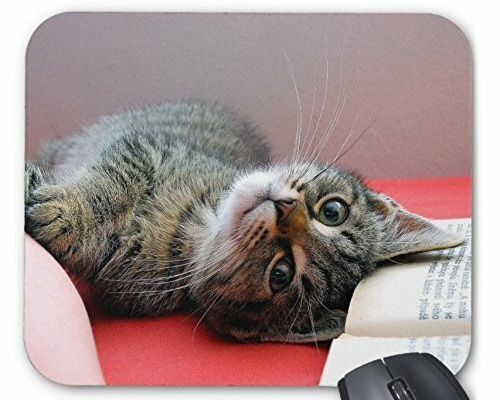 0_f153307f171ed0b31cff4675545c