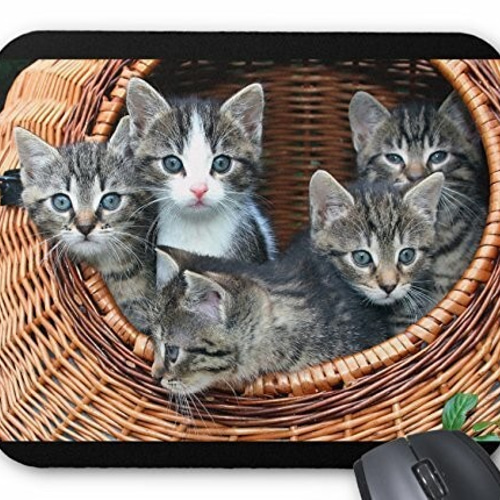 可愛い子猫たちのマウスパッド：フォトパッド（世界の猫シリーズ） (A