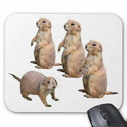プレーリードッグのマウスパッド：フォトパッド（ 世界の野生動物シリーズ ） 1枚目の画像