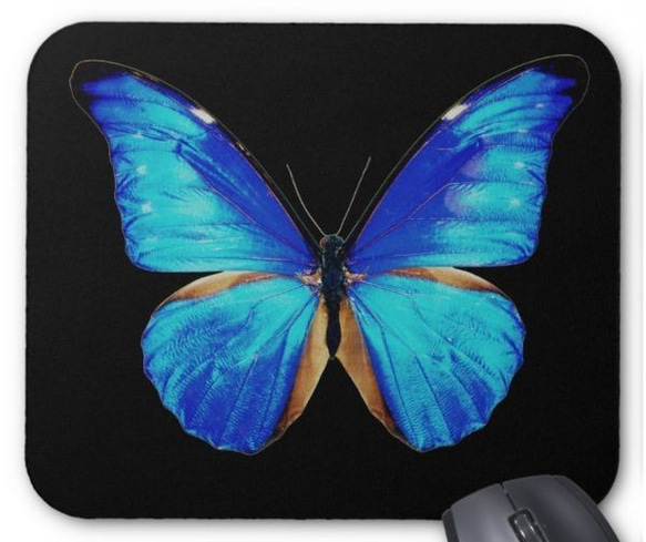 レテノール・モルフォ蝶のマウスパッド：フォトパッド（ 世界の昆虫シリーズ ） 2枚目の画像