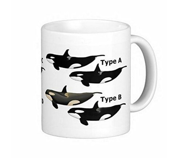 4タイプのシャチのイラストのマグカップ (白地)：フォトマグ（世界の動物シリーズ） 1枚目の画像