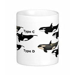 4タイプのシャチのイラストのマグカップ (白地)：フォトマグ（世界の動物シリーズ） 2枚目の画像