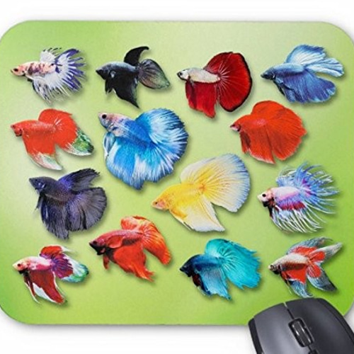 カラフルなベタのマウスパッド (緑地)：フォトパッド（ 世界の熱帯魚