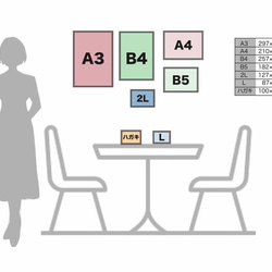 白いアネモネ 4枚目の画像