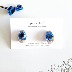 blue flower pierce/earring ドライフラワーイヤリング 2枚目の画像