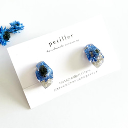 blue flower pierce/earring ドライフラワーイヤリング 3枚目の画像