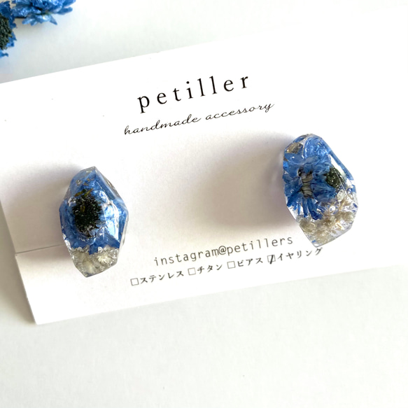 blue flower pierce/earring ドライフラワーイヤリング 4枚目の画像