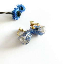 blue flower pierce/earring ドライフラワーイヤリング 5枚目の画像