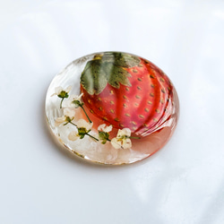 帯留め　春の苺摘みに　　　ポニーフック　金具変更で可　　　　　（　いちご　イチゴ　） 4枚目の画像