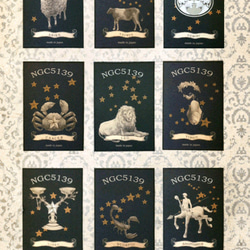 12星座のカード【zodiac】 2枚目の画像