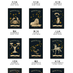 12星座のカード【zodiac】 3枚目の画像