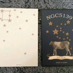 12星座のカード【zodiac】 4枚目の画像