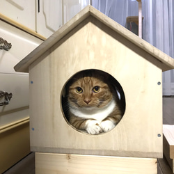 猫小屋  犬小屋  キャットハウス  ドッグハウス 猫ちぐら 小型犬 屋内 1枚目の画像