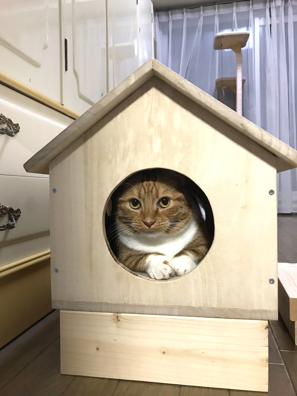 猫小屋 犬小屋 キャットハウス ドッグハウス 猫ちぐら 小型犬 屋内