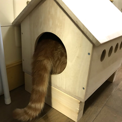 猫小屋  犬小屋  キャットハウス  ドッグハウス 猫ちぐら 小型犬 屋内 2枚目の画像