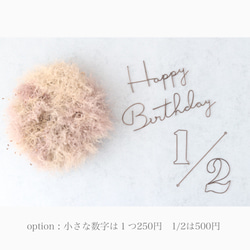Happy  Birthday * cute *  ワイヤークラフト　レタリング　ハッピーバースデー　誕生日　韓国 4枚目の画像