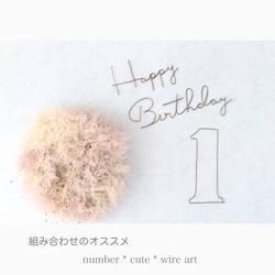 Happy  Birthday * cute *  ワイヤークラフト　レタリング　ハッピーバースデー　誕生日　韓国 5枚目の画像